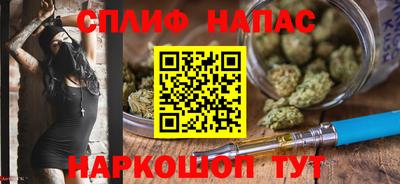 дмт Тара