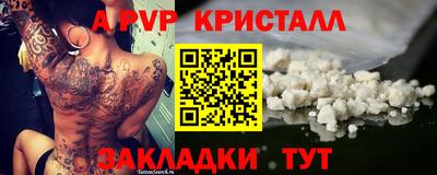 дмт Тара