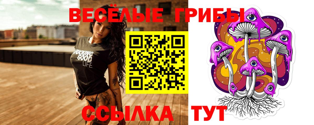 Псилоцибиновые грибы Psilocybe Орехово-Зуево